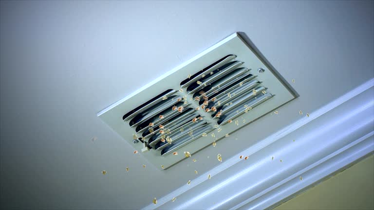 Best HVAC System Cleaning  in Smithville, TX